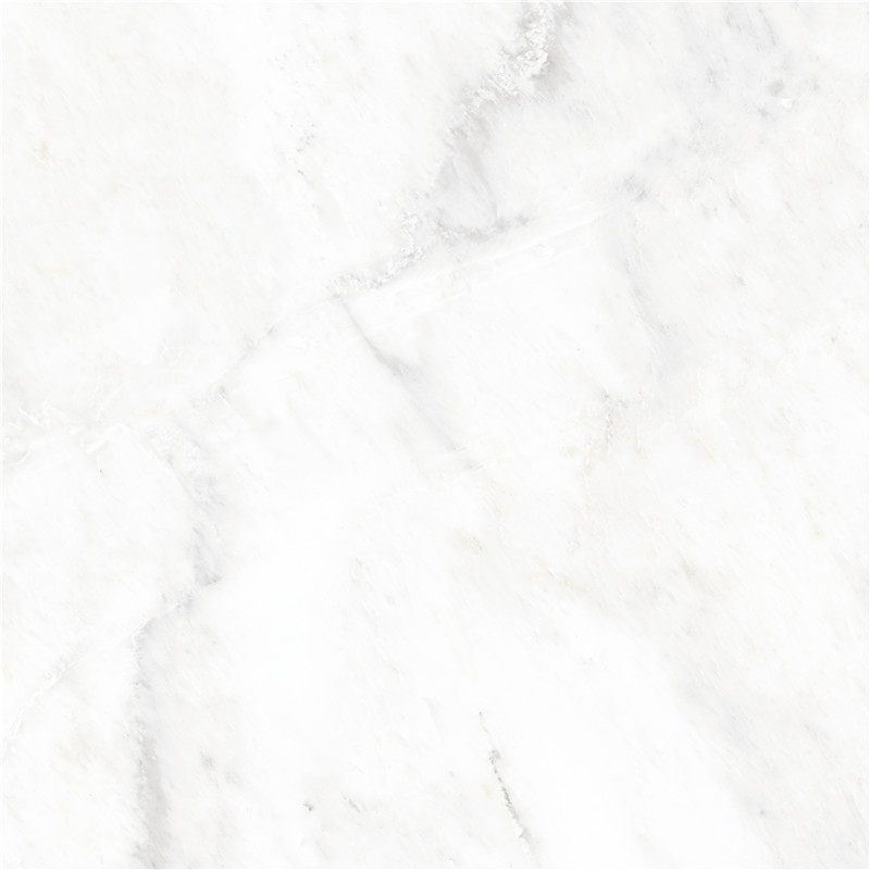 M-666W8310-东方白