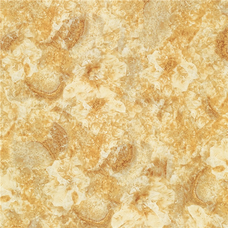 M-HC8801凯撒大帝