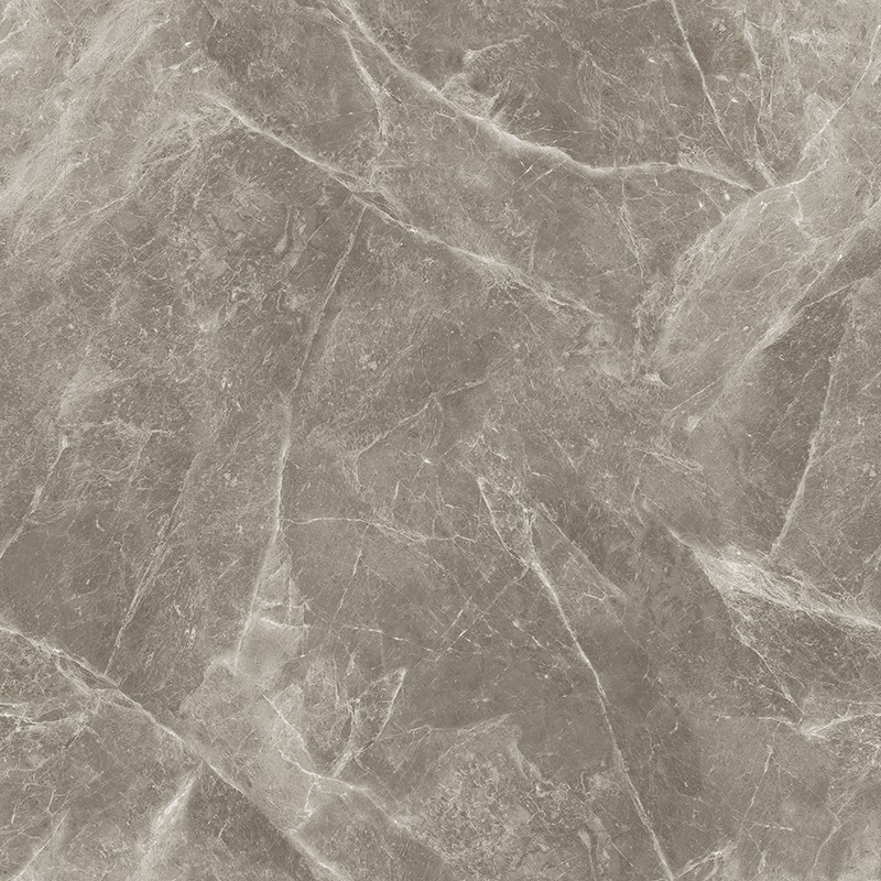 M-13CH807 欧米茄灰